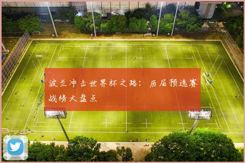 波兰冲击世界杯之路:历届预选赛战绩大盘点