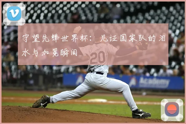 守望先锋世界杯:见证国家队的泪水与加冕瞬间