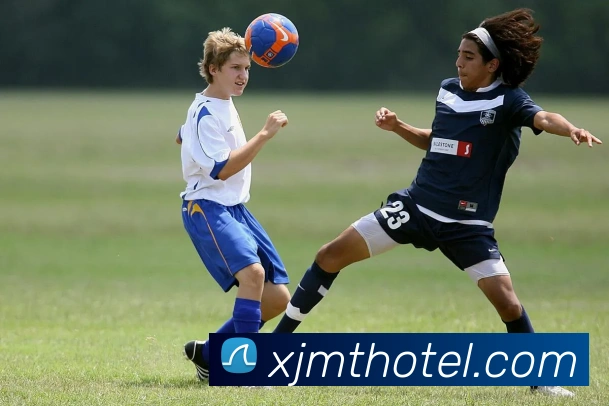 奥运会闭幕式8分钟环节节目取向与演出安排对国际传播影响解读